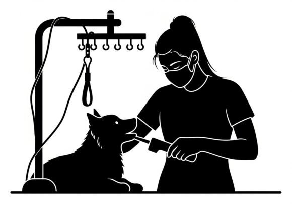 Black Silhouettes Woman Grooming Dog